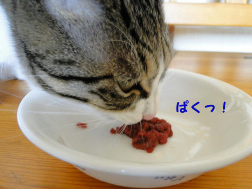 ぱくっ
