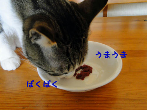 ぱくぱく うまうま