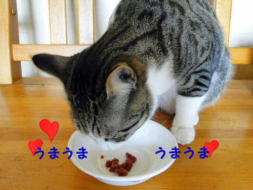 うまうま♪ うまうま♪