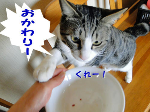 もっとくれー!