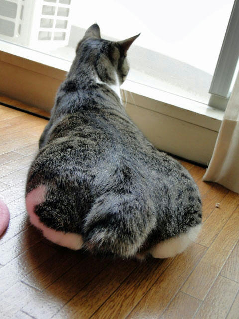 さらに低く