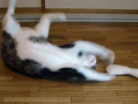 けりぐるみ３
