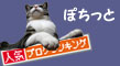 人気ブログランキング（猫）