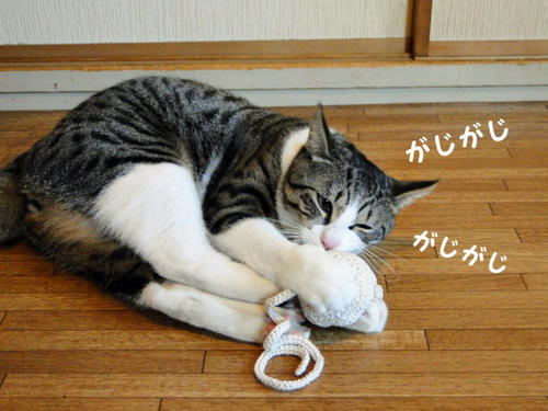 がじがじ