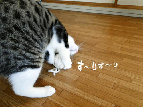 すりすり