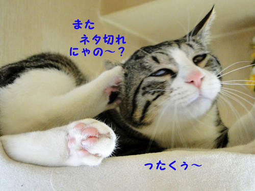 またですか?