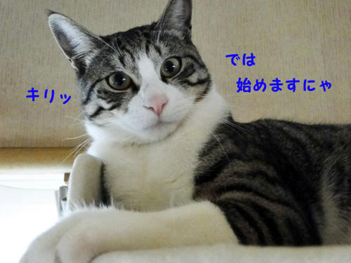 では、始めます。