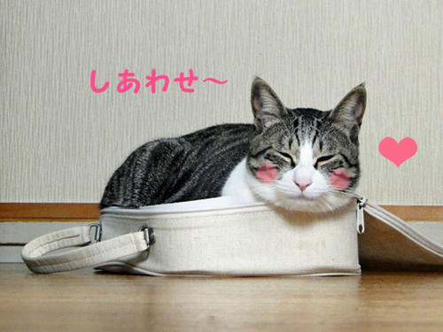 しあわせ~