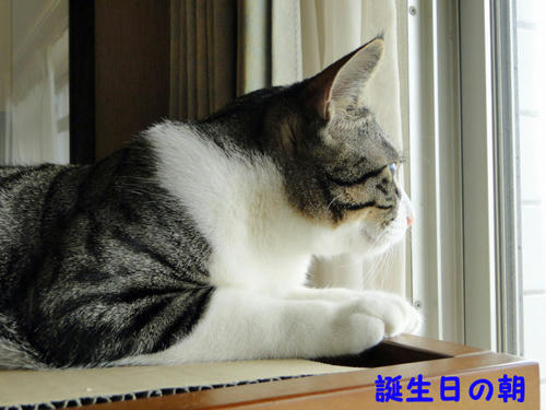誕生日の朝