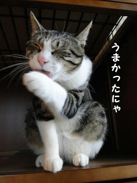 美味かったにゃー