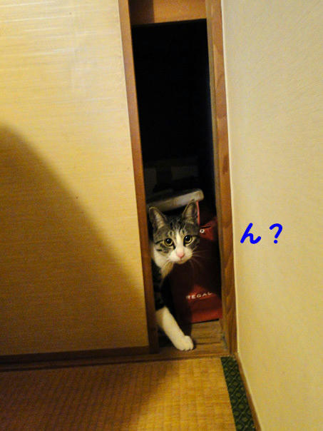 ん?