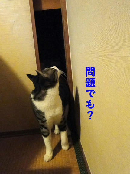 問題でも?