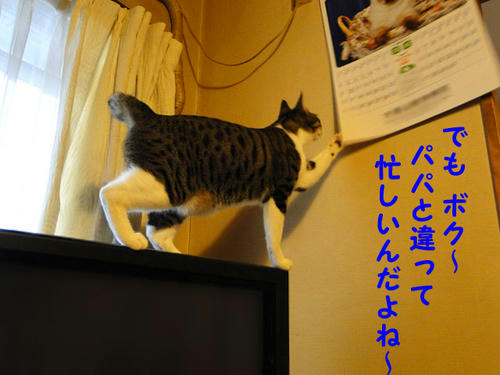 でも、忙しいんだよね~