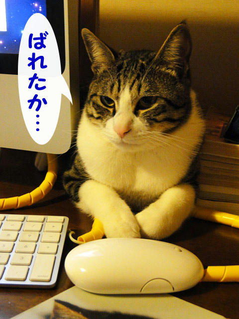 ばれたか・・・