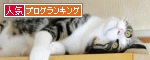 人気ブログランキング(猫)