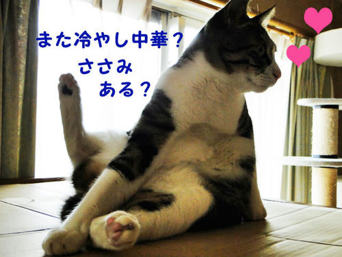 ささみあるかな~