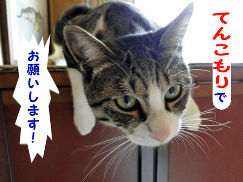 てんこ盛りでお願いします!