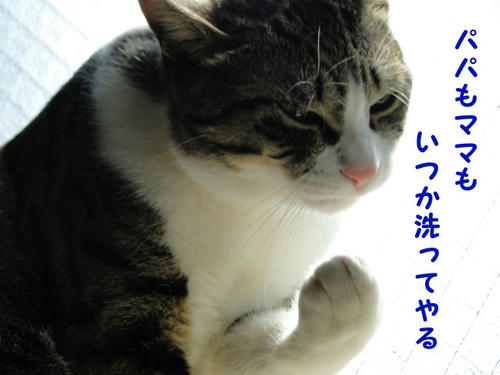 ママとパパもいつか洗ってやる