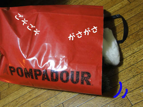 がさがさ・・・ごそごそ・・・