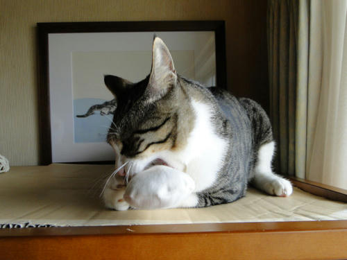 抱え込み!