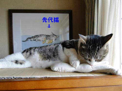 シンクロ?