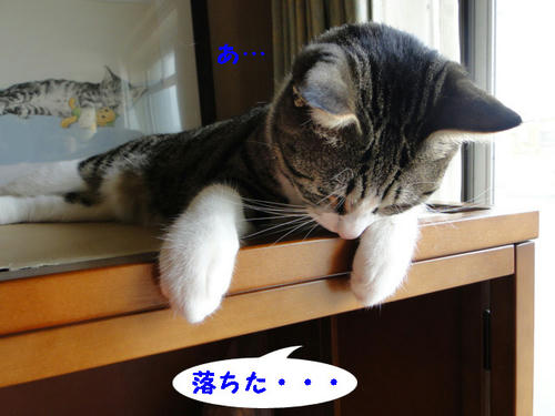 ウサギさん落ちちゃった・・・