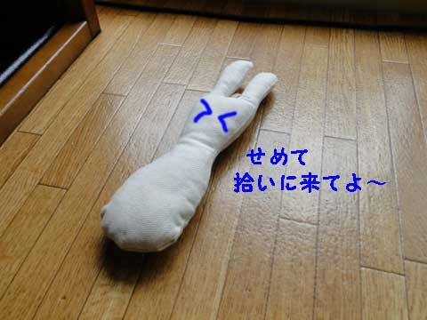 誰か拾って・・・