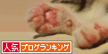 人気ブログランキング(猫)へ