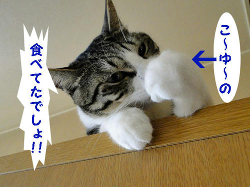 こういうの・・・食べてたでしょ?