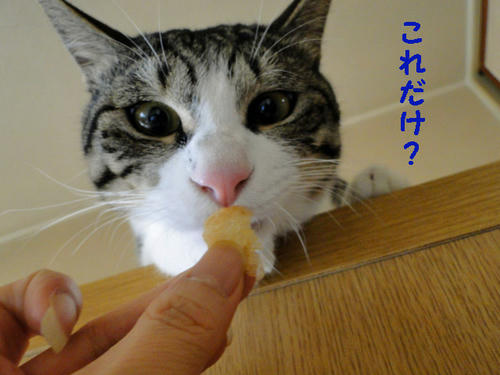これだけ?