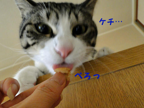 けち!!