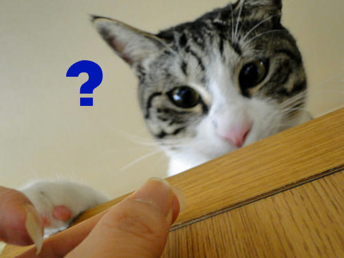 消えた?