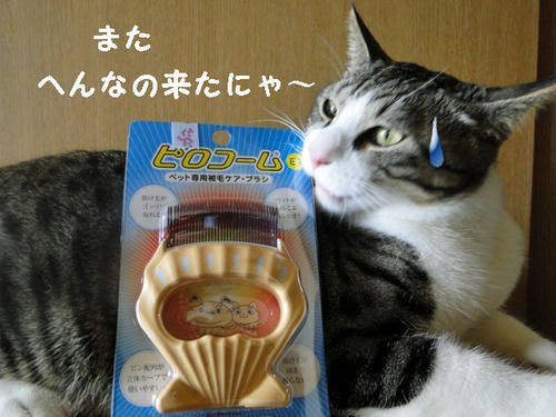 おにゅーのブラシ