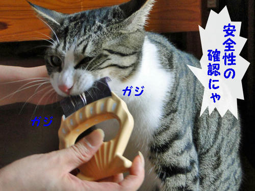 ガジガジガジ・・・