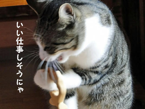 いい仕事しそうにゃ♪