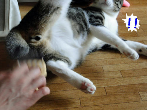 いやん！！