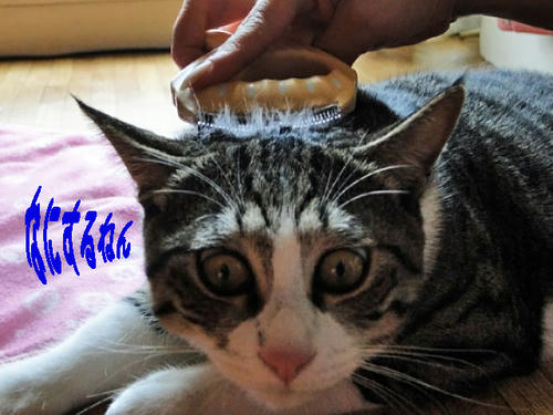 なにするねん！！