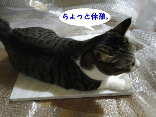 ちょと休憩でも・・・
