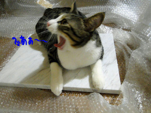 ふあぁぁぁぁ~~