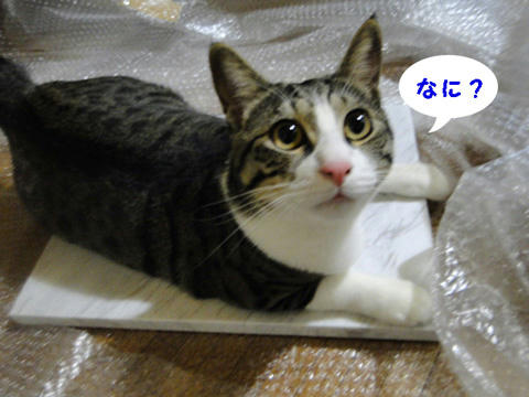 なに?