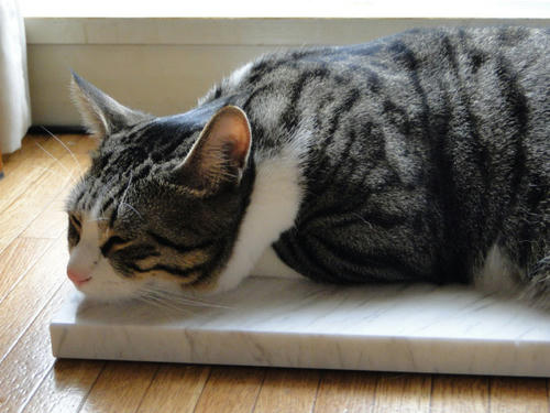 Zzz...