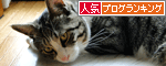 人気ブログランキング(猫ブログ)へ