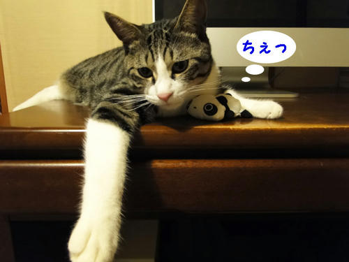 ちぇっ