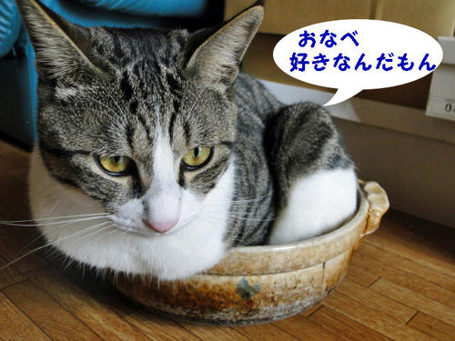 好きなんだもん