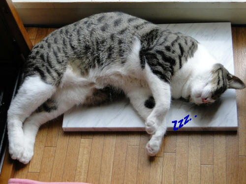 Zzzz...