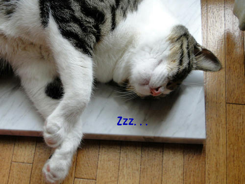 Zzzz...