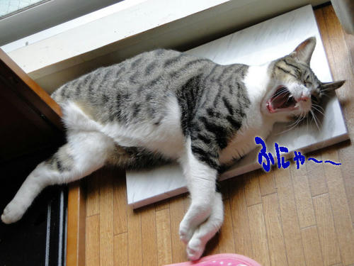 ふぁ～～～～