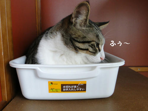 ふぅ~・・・