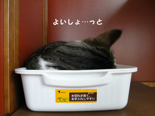 よいしょっ・・・と