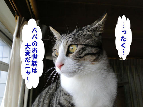 パパのお世話って大変にゃ